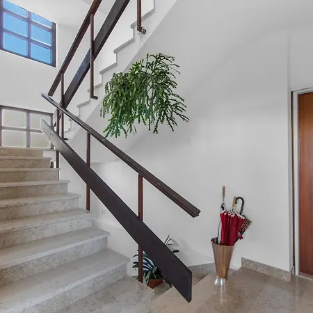 Apartment Falcon Funtana