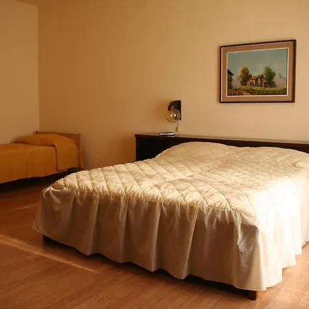 Falcon Apartment Funtana